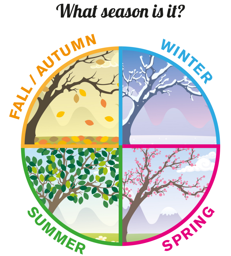 A8 Brown Bear (seasons, colours and animals)